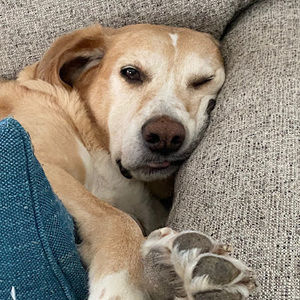 Meet your Posher, Colin